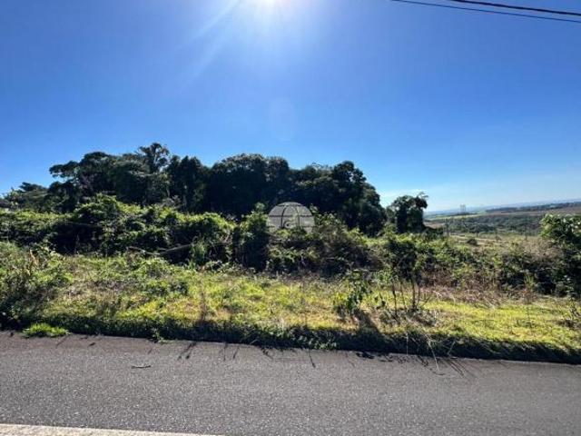 Terreno venda em Região Geográfica Imediata de Pato Branco, Região Sul