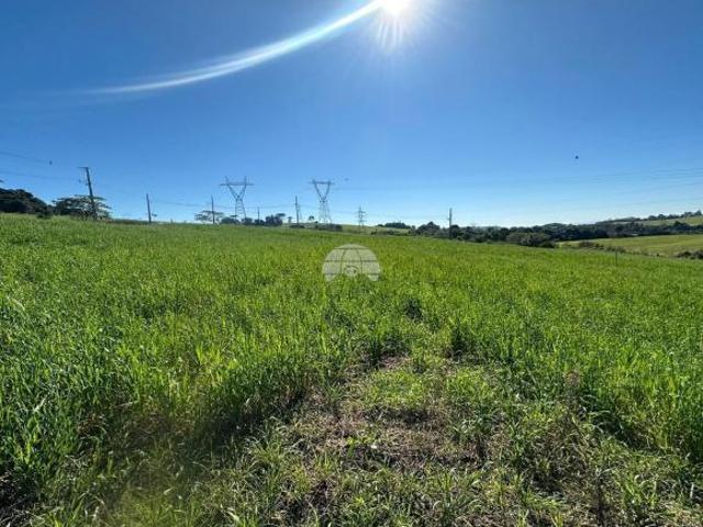 Terreno venda em Região Geográfica Imediata de Pato Branco, Região Sul