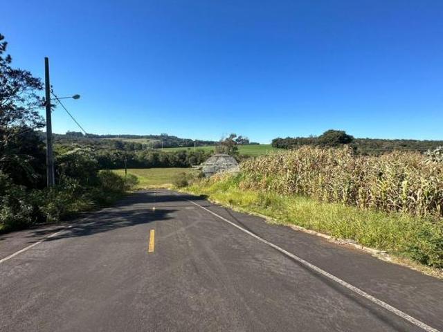 Terreno venda em Região Geográfica Imediata de Pato Branco, Região Sul