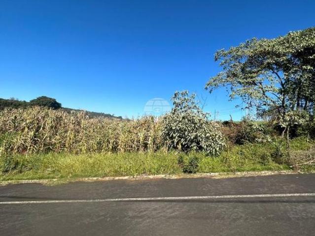 Terreno venda em Região Geográfica Imediata de Pato Branco, Região Sul