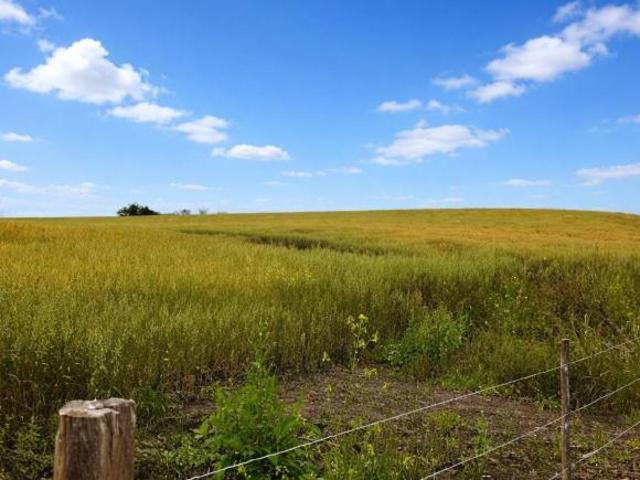 Sítio e chácara venda em Região Geográfica Imediata de União da Vitória, São Mateus do Sul