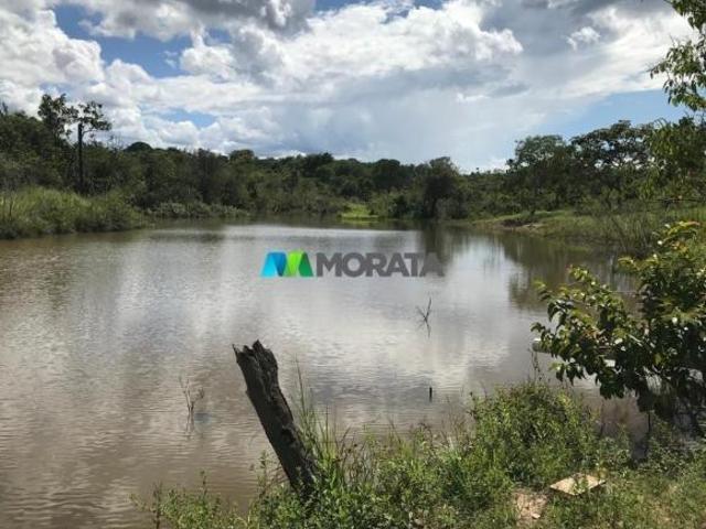 Sítio e chácara venda em Região Geográfica Imediata de São Francisco, São Romão