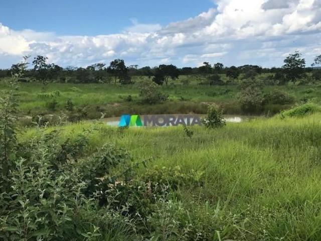 Sítio e chácara venda em Região Geográfica Imediata de São Francisco, São Romão