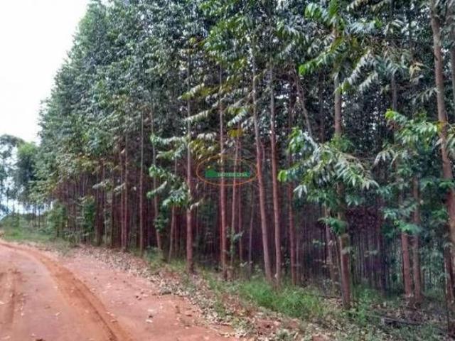 Sítio e chácara venda em Região Geográfica Imediata de São João del Rei, São Tiago