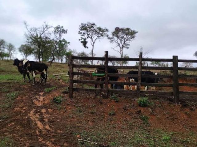 Sítio e chácara venda em Região Geográfica Imediata de São João del Rei, São Tiago