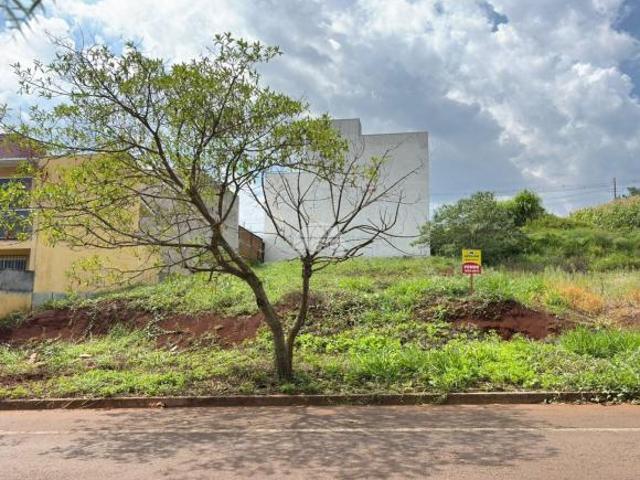 Terreno venda em Região Geográfica Imediata de Pato Branco, Região Sul