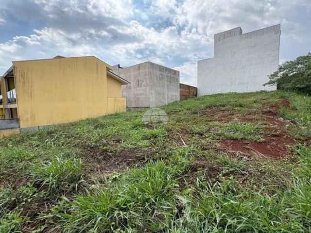 Terreno venda em Região Geográfica Imediata de Pato Branco, Região Sul