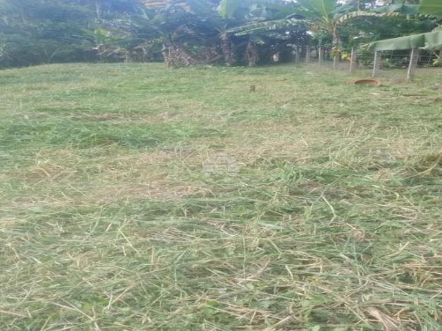Terreno venda em Região Geográfica Imediata de Paranaguá, Antonina