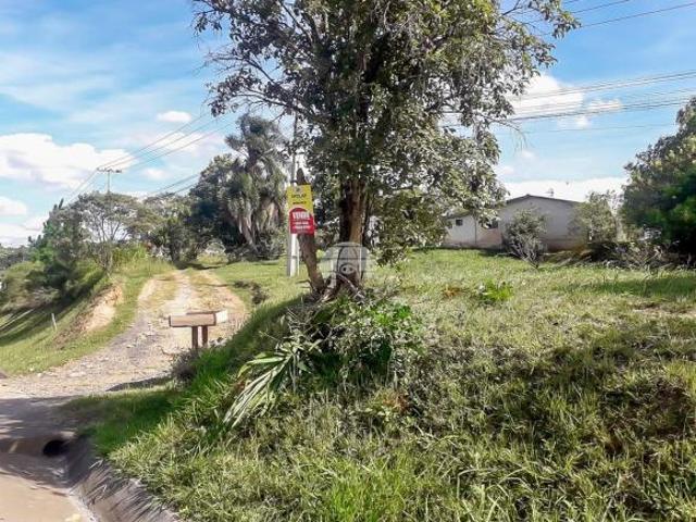 Terreno venda em Campo de Santo Antônio, Campo Magro