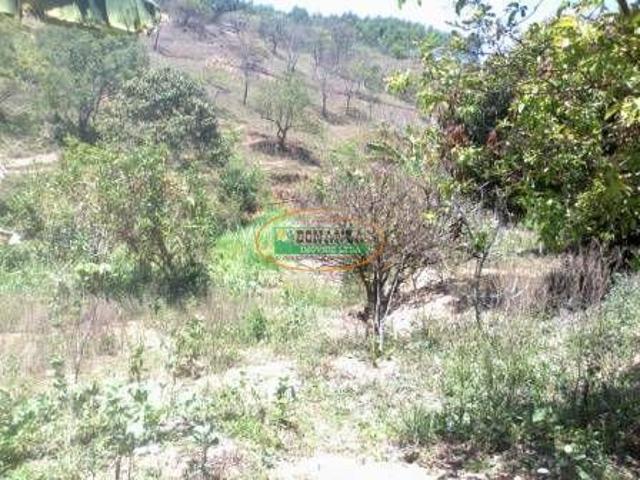 Sítio e chácara venda em Região Geográfica Imediata de Conselheiro Lafaiete, Conselheiro Lafaiete