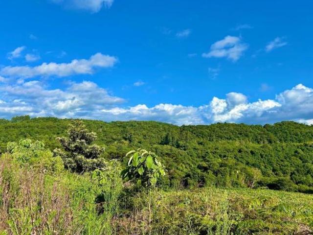 Terreno venda em Região Geográfica Imediata de Novo Hamburgo - São Leopoldo, Santa Maria do Herval