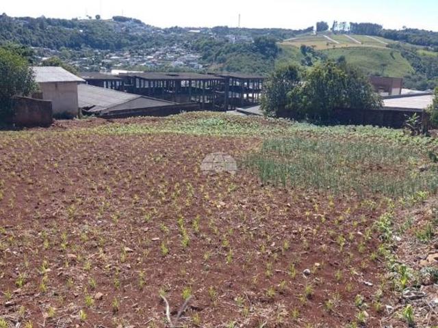 Terreno venda em Região Geográfica Imediata de Pato Branco, Região Sul