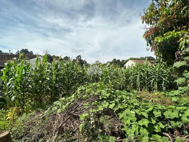 Terreno venda em Região Geográfica Imediata de Pato Branco, Região Sul