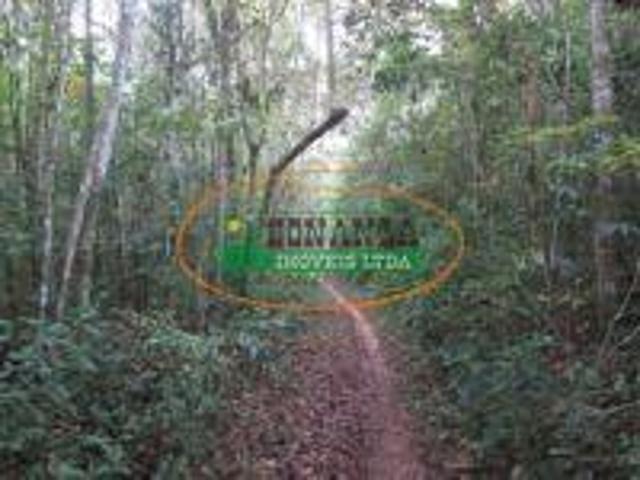 Terreno venda em Região Geográfica Imediata de Conselheiro Lafaiete, Santana dos Montes