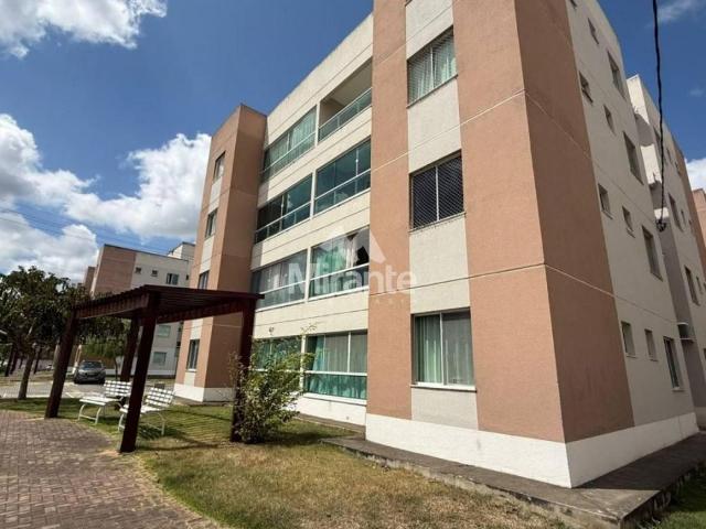 Apartamento aluguel em Vila Paradiso, Feira de Santana