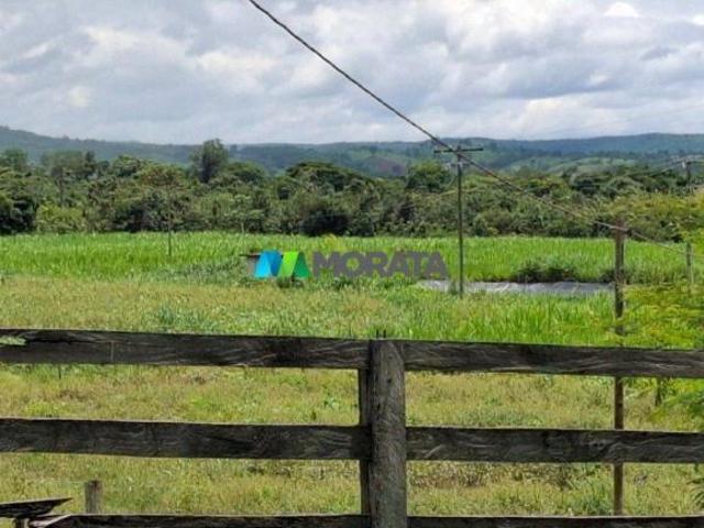 Sítio e chácara venda em Região Geográfica Imediata de Curvelo, Santo Hipólito