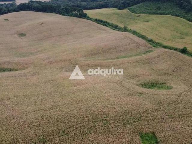 Sítio e chácara venda em Região Geográfica Imediata de Ponta Grossa, Castro