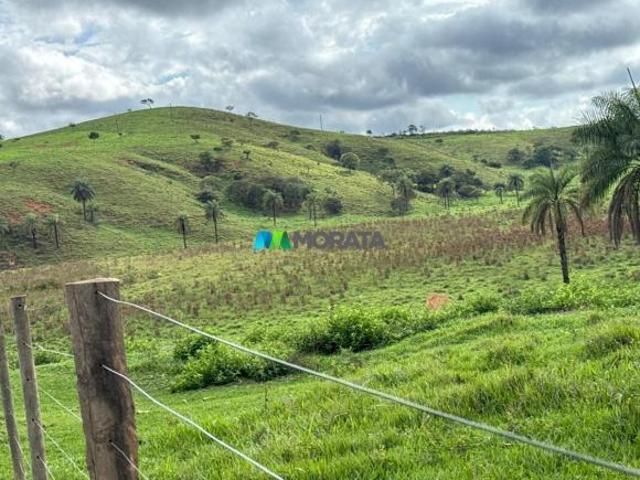 Sítio e chácara venda em Região Geográfica Imediata de Formiga, Tapiraí