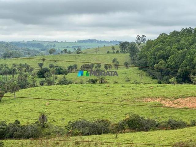 Sítio e chácara venda em Região Geográfica Imediata de Formiga, Tapiraí