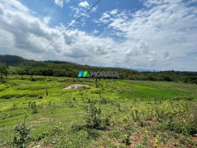 Sítio e chácara venda em Região Geográfica Imediata de Ipatinga, Região Metropolitana do Vale do Aço