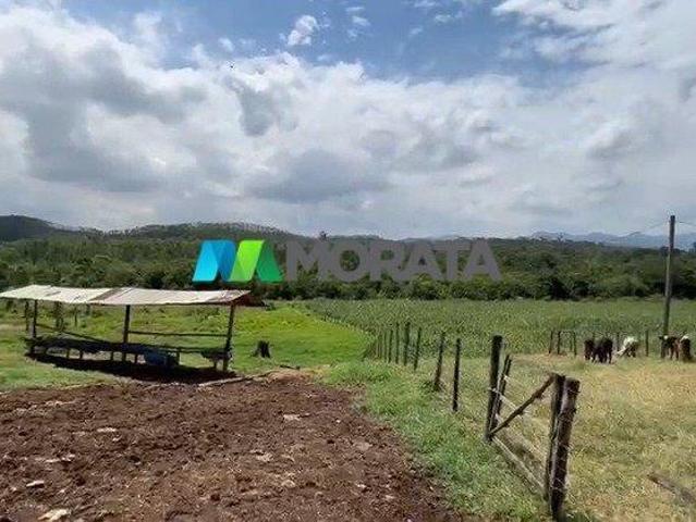 Sítio e chácara venda em Região Geográfica Imediata de Ipatinga, Região Metropolitana do Vale do Aço