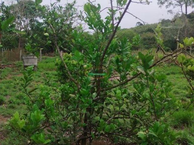 Terreno venda em Região Geográfica Imediata de Conselheiro Lafaiete, Conselheiro Lafaiete