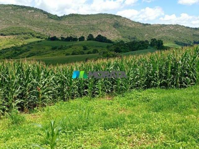 Sítio e chácara venda em Região Geográfica Imediata de Três Corações, Três Corações