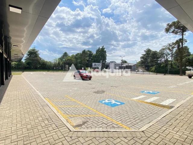 Apartamento aluguel em Cará-Cará, Ponta Grossa