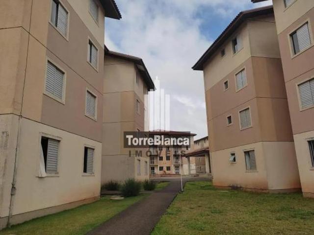 Apartamento venda em Região Geográfica Imediata de Ponta Grossa, Ponta Grossa