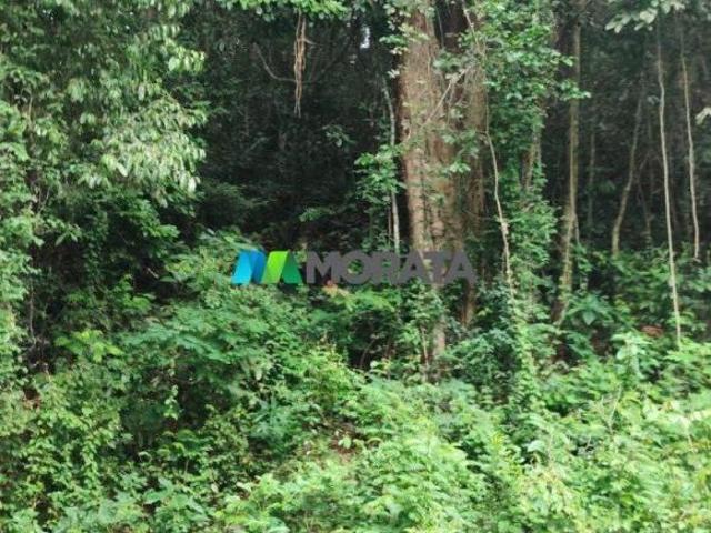 Sítio e chácara venda em Região Geográfica Imediata de Viçosa, Viçosa