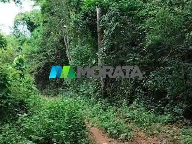 Sítio e chácara venda em Região Geográfica Imediata de Viçosa, Viçosa