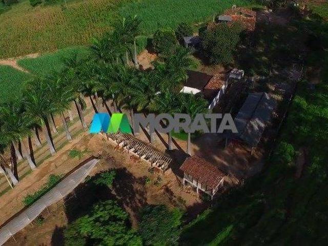 Sítio e chácara venda em Região Geográfica Imediata de Viçosa, Viçosa