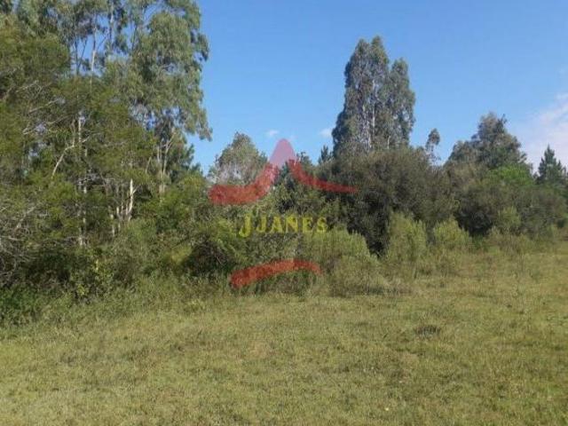 Sítio e chácara venda em Jardim Ipiranga, Viamão