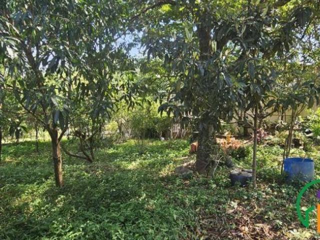 Sítio e chácara venda em Altos do Morumbi, Vinhedo