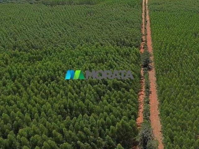 Sítio e chácara venda em Região Geográfica Imediata de Pirapora, Lassance