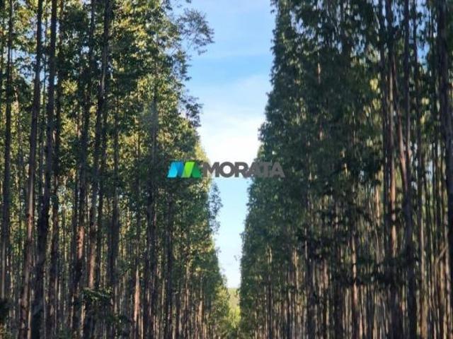 Sítio e chácara venda em Região Geográfica Imediata de Pirapora, Lassance