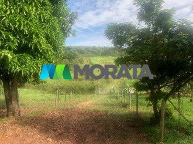Sítio e chácara venda em Funilândia, Região Geográfica Intermediária de Belo Horizonte
