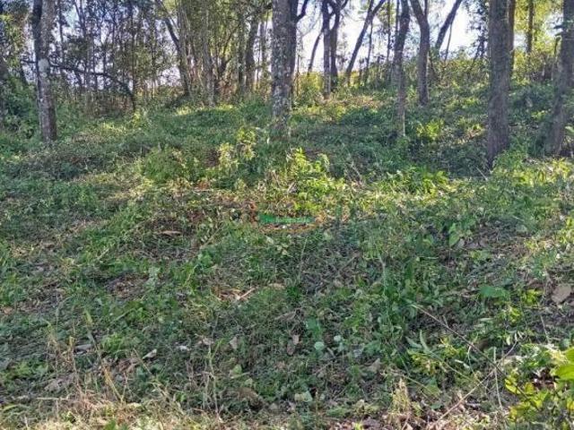 Terreno venda em Região Geográfica Imediata de São João del Rei, Tiradentes