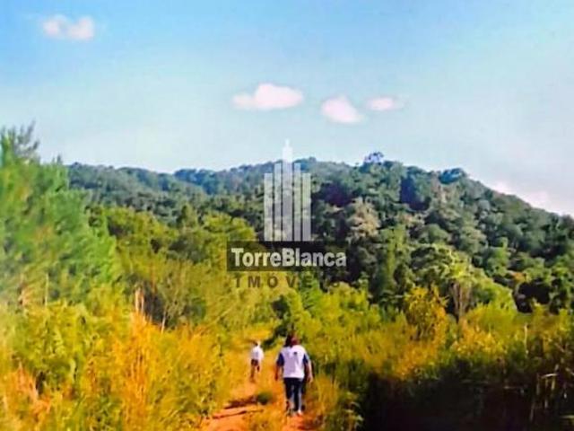 Sítio e chácara venda em Região Imediata de Itapeva, Barra do Chapéu