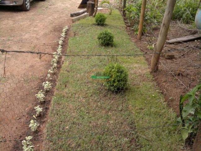 Sítio e chácara venda em Região Geográfica Imediata de Conselheiro Lafaiete, Belo Vale