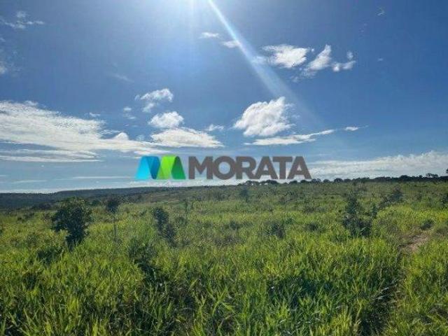 Sítio e chácara venda em Região Geográfica Imediata de Patos de Minas, Brasilândia de Minas