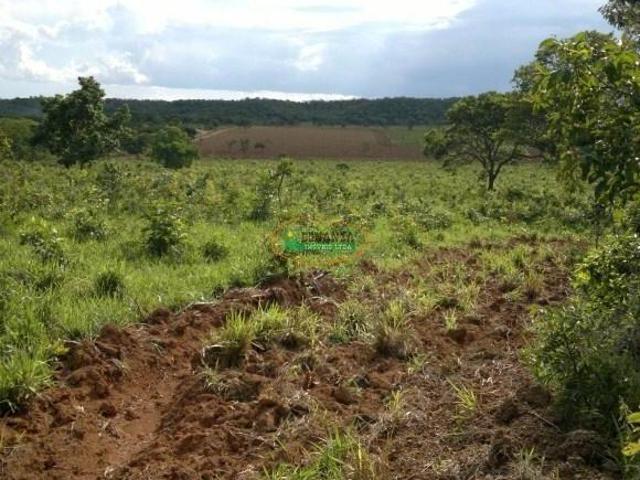 Sítio e chácara venda em Região Geográfica Imediata de Unaí, Região Integrada de Desenvolvimento do Distrito Federal e Entorno