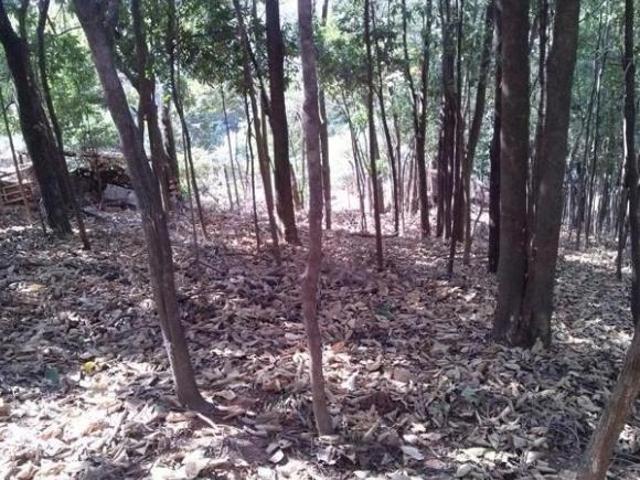 Sítio e chácara venda em Nacional, Contagem