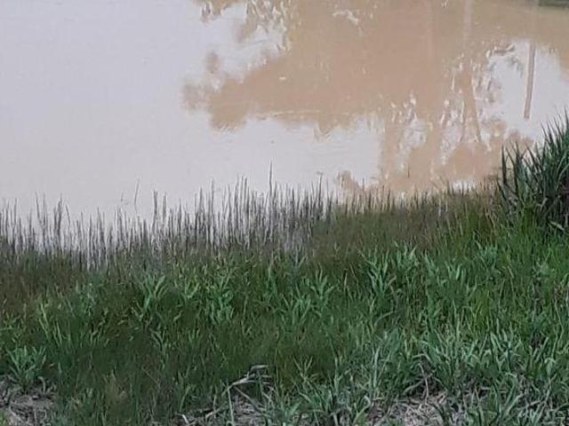 Sítio e chácara venda em Jardim Esperança III, Poços de Caldas