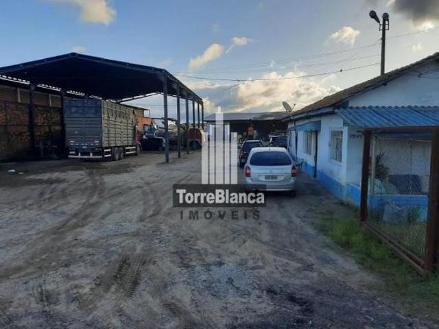 Terreno venda em Região Geográfica Imediata de Ponta Grossa, Ponta Grossa