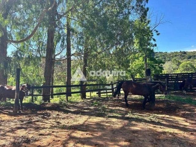 Sítio e chácara venda em Chapada, Ponta Grossa
