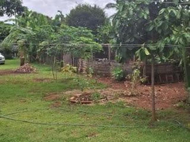 Sítio e chácara venda em Região Imediata de São José do Rio Preto, Região Metropolitana de São José do Rio Preto