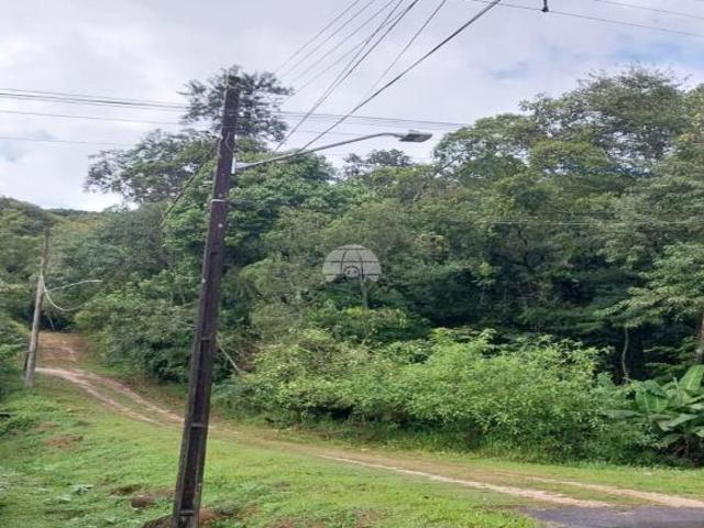 Terreno venda em Região Geográfica Imediata de Paranaguá, Antonina