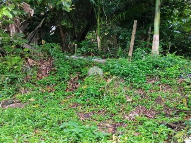 Terreno venda em Penha, Antonina