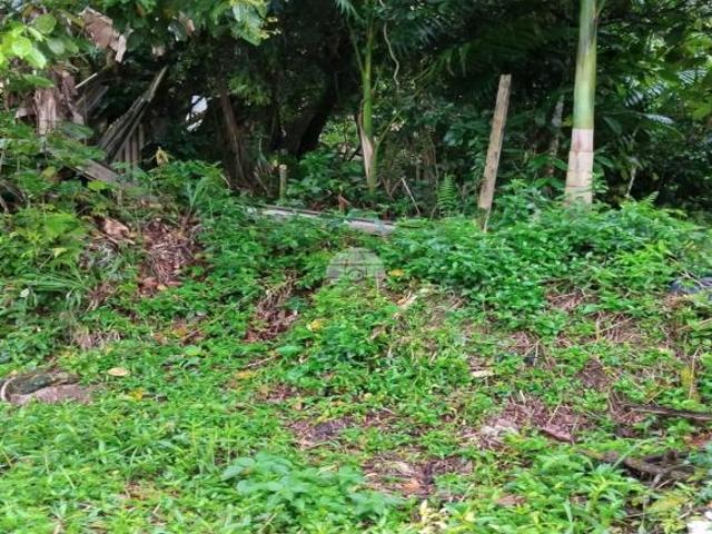 Terreno venda em Região Geográfica Imediata de Paranaguá, Antonina